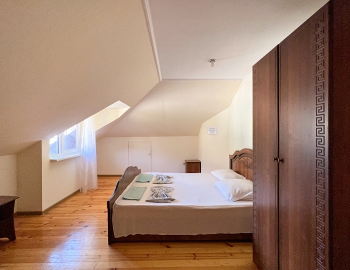 2-местное станд. без балк. - Отель Eliza / Элиза Гагра