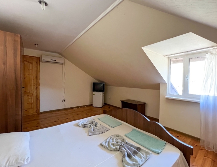 1-мест. (разм. в 2-мест.) станд. без балк. - Отель Eliza / Элиза Гагра